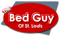 bedguy logo